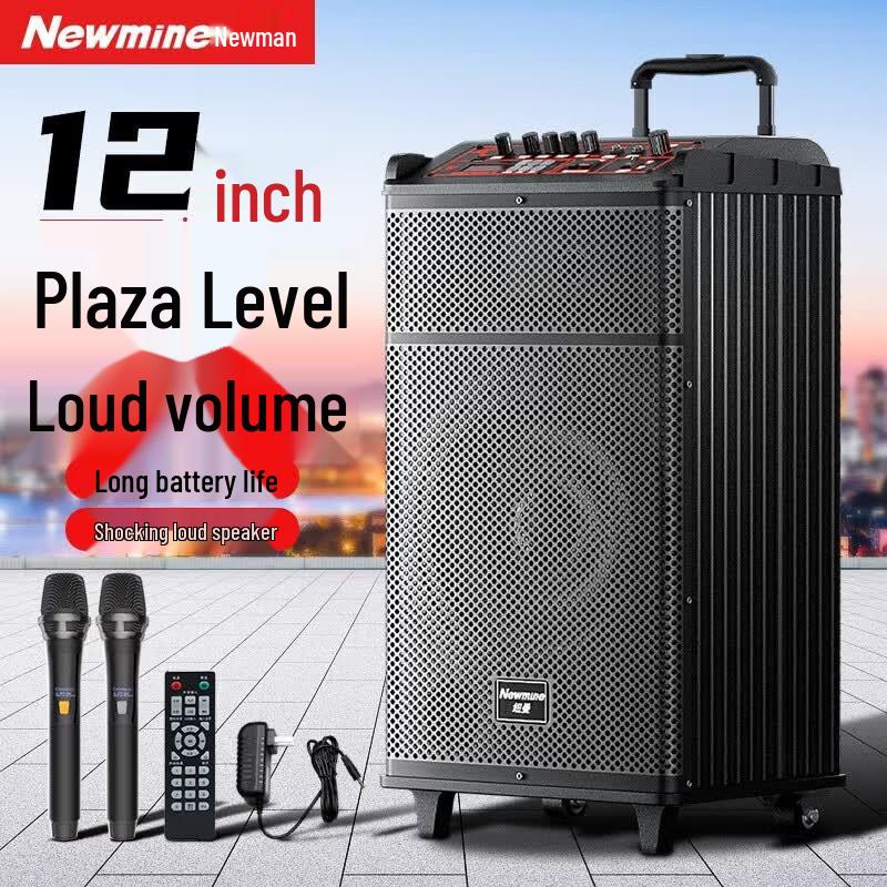 Newsmy Portable Bluetooth Trolley Speaker for Outdoor KTV & Events (CN version)
