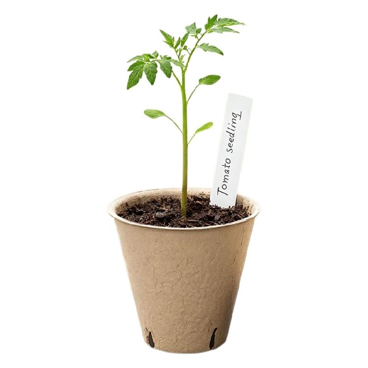 100pack Peat Pots for Seedling Outdoor Garden Germination Nursery Pots Pulps Biodegradables Seedling Starter Pots