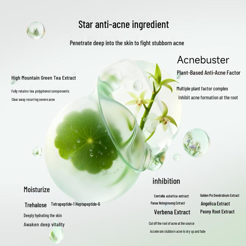 DR PLANT Botanical Facial Essence