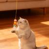 Automatic Lift Cat Teaser Wand with Feathers and Bell Electric Rotating Hanging Toy for Cats Interactive Self Play Fun Activity for Indoor Pets