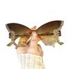 UV Protection Rimless Sun Glasses Vintage Style Cat Eye Eyewear Butterfly Sunglasses  Travel Use
