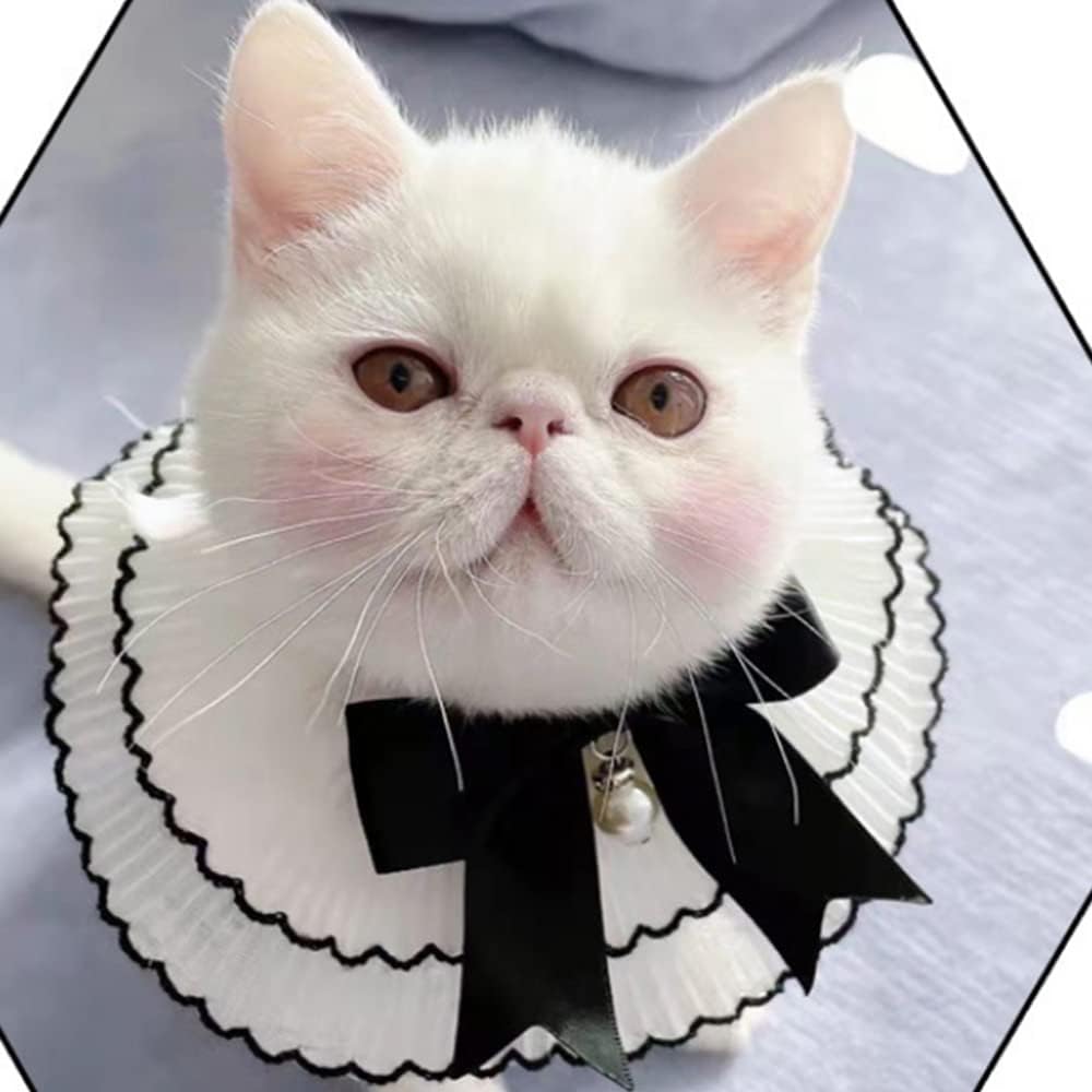Pet lace bib Wedding Scarf Cat Teddy Neck Scarf Cute Dress up lace bib Bow Scarf Small pet boy Girls Cats Dogs