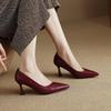 Mooie Veelzijdige Lente Puntige Reusachtige Franse Retro Commuter Enkele Schoenen Dames Hoge Hakken Lage Mond