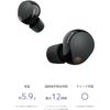 Sony WF-1000XM5 Wireless Noise Canceling Earbuds (Black)
