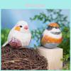 Wooden Bird Decor With Natural Finish For Office And Home Gift Ideas