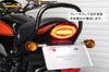 POSH FAITH Luminous LED Tail Lamp for Dark Z900RS/CAFE (2018-2025), Red, 132290-96