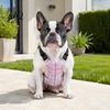 Koelvest voor Kleine En Grote Honden Hond Vest, Ademend Jasje met Gel IJszakken, Huisdier Oververhitting Preventie Uitrusting Zomerjas Medium Kleding