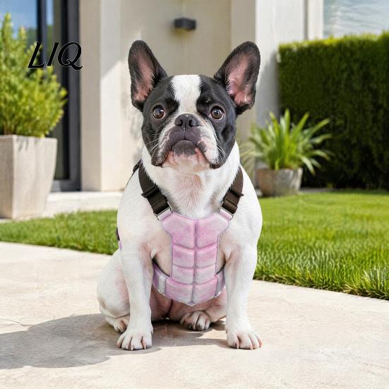 Koelvest voor Kleine En Grote Honden Hond Vest, Ademend Jasje met Gel IJszakken, Huisdier Oververhitting Preventie Uitrusting Zomerjas Medium Kleding