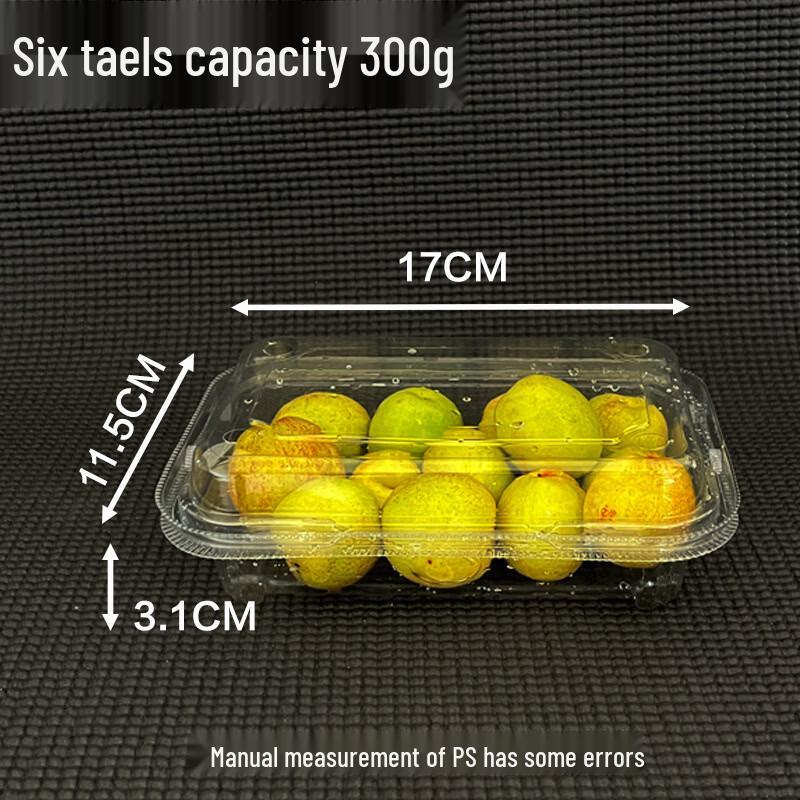 

Disposable Fruit & Vegetable Container
