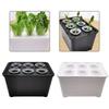 Hydroponics Growing Box 6 Holes Indoor Cultivation System for Household Plants with Sunlight Simulation Feature