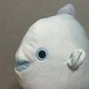 Momora Mora Plush Toy Assorted Ver. Final Fantasy XIV Taito Lim...