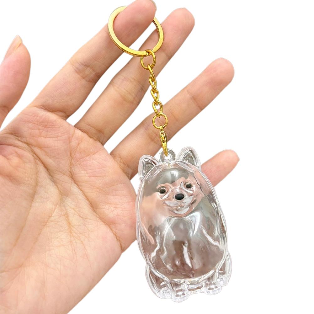 Cartoon Hundeform Hundehaar Aufbewahrungsbox Haarpflege Transparent Tierhaare Schlüsselanhänger Acryl Schlüsselanhänger Welpen Anhänger Schmuck Geschenk