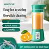 ZISIZ Portable Mini Blender Bottle