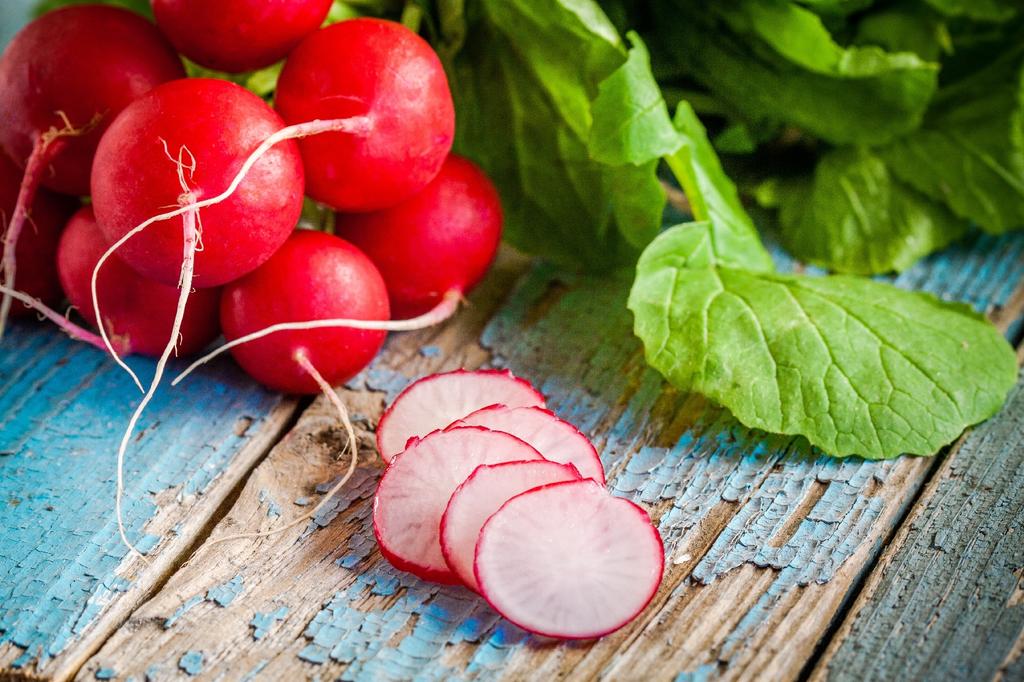 SAFLAX Garden In the Bag - Organic - Radish - Cherry Bell - 100 Seeds - With Substrate In a Fitting Stand Up Bag - Raphanus Sativus