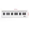 Supplies Scale Ruler Plastic Measuring Ruler Straight Rulers Piano Rule Black White Musical Notes