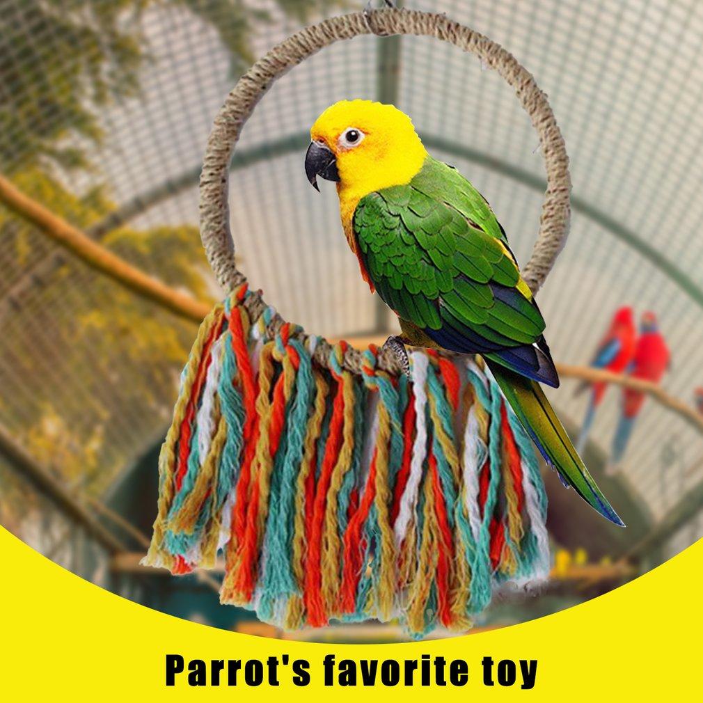 parrot rope swings