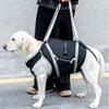 Reflective Pet Walking Aid Straps Adjustable Support Recovery Sling Dog Sling Carrier  Daily Use