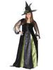 Goth Maiden Witch Plus Adult Goth Maiden Witch Plus Plus Costume, Costume, Halloween, Size
