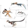Realistic Jurassic Desktop Model Of Archaeopteryx Pterosaur And Dromaeosaur With Stunning Detail