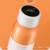 Bosbourg Temperature Display Insulated Bottle