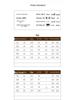 Women's Golden Velvet Casual Two-Piece Set