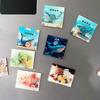 3pcs Flower Refrigerator Sticker Acrylic Mushroom Magnet Special-shaped Fixed Magnetic Stickers Creative Stickers