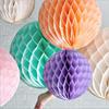 Multicolor 10inch Paper Honeycomb Tissue Flower Balls Lantern Birthday Party Wedding Baby Shower Decorations Christmas Supplies