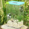Spider and Mantis Breeding Case made of Transparent Acrylic; Ideal Habitat for Reptiles and Insects