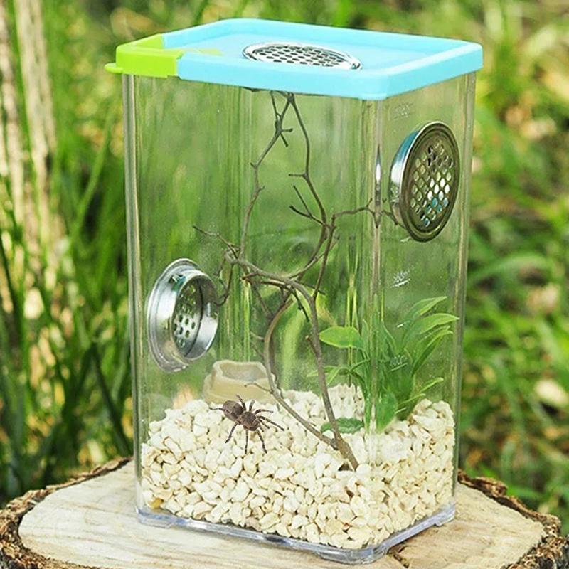 Spider and Mantis Breeding Case made of Transparent Acrylic; Ideal Habitat for Reptiles and Insects