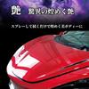 Prostaff Car Wash Supplies Coating Agent 2way Cloth Included Monster