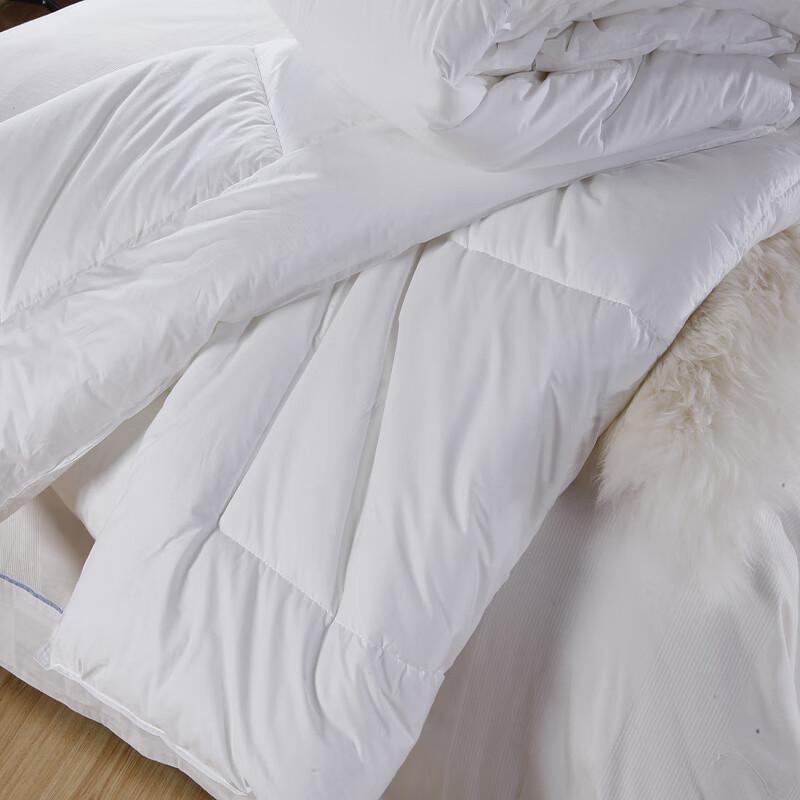 SUISLEEP Brushed Microfiber Winter Fiber Quilt