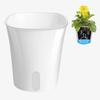 Self Watering Plant Pots Small White Planter with Reservoir Translucent Inner Pot Cotton Wick Planters for Violet Cuttings Seedlings Propagation
