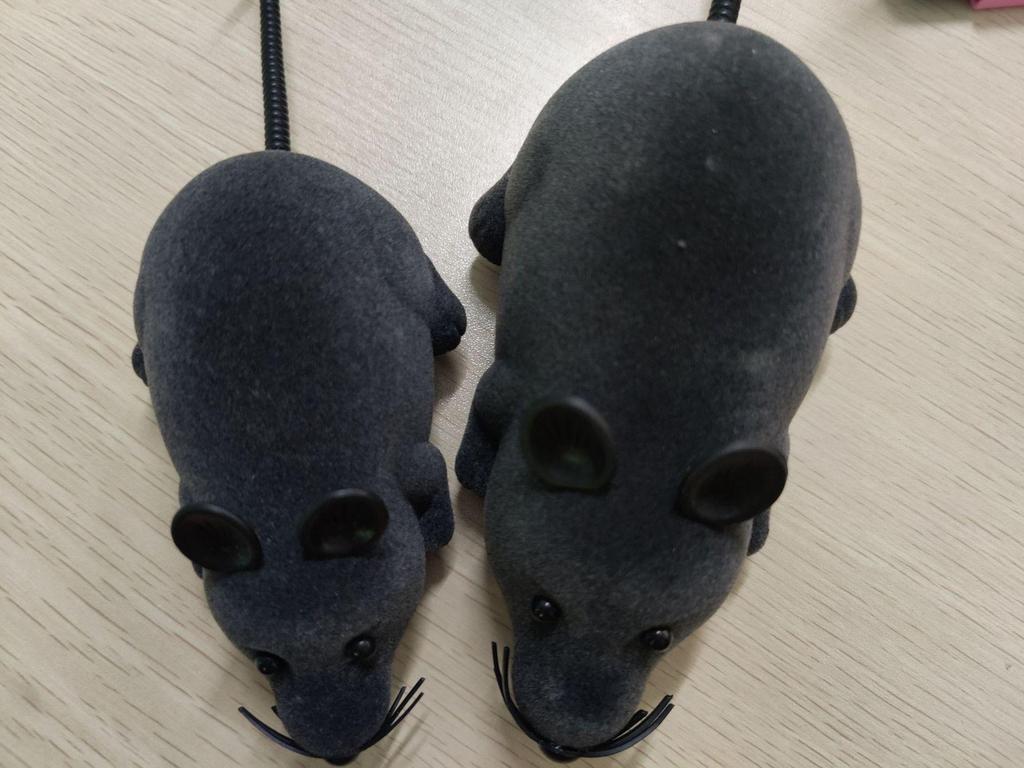 Novel Remote Control Mouse Cat Teaser Toy - Infrared Simulator Animal Electric Toy