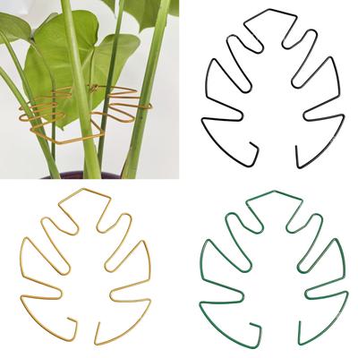 Monstera Plant Trellises Stakes Vertical Growth Support Holder for Indoor and Outdoor Plant Monstera Flowers