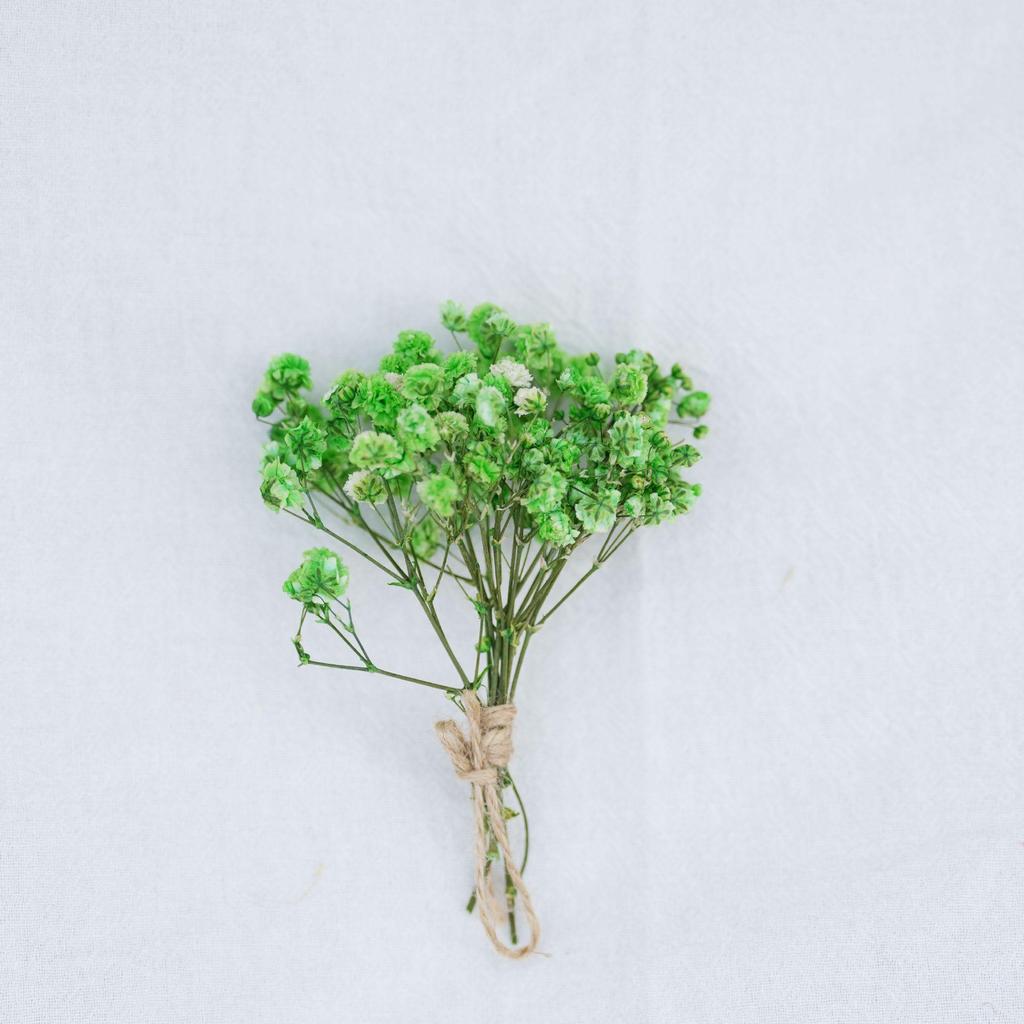 Mini Dried Flower Bouquet for DIY Decoration and Gift Accessories