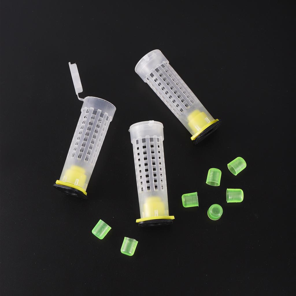 1 Set Beekeeping Cages King Queen Rearing System Plastic Bee Catcher Box Cell Cups Complete Kit Apicultura Tools Supplies
