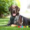 Pettorina per cani in nylon morbida e traspirante, senza tiratura, pettorina per cani regolabile, guinzaglio per cani di taglia piccola, media e grande