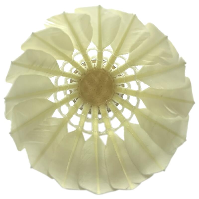 RacketField Original PRACTICE US Durable and Excellent Flight Performance Shuttlecocks, (1 Dozen, No. 4, 17-23°C)
