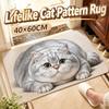 Non-slip Entryway Rug Diatomite Pet Floor Mat Durable Cat Print Doormat  Household