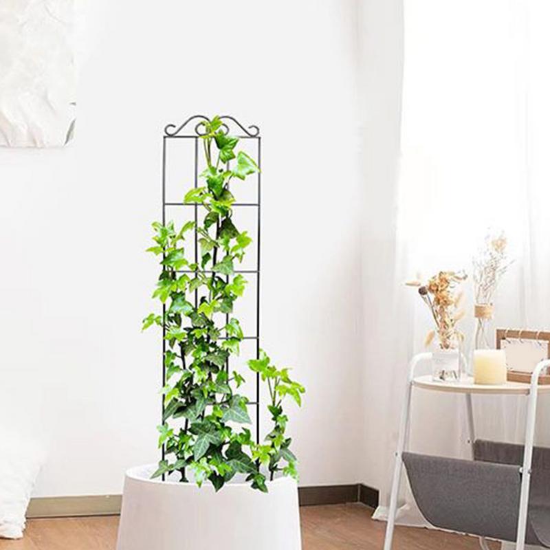 Trellis For Climbing Plants Indoor Metal Climbing Plant Support Houseplant Flower Cage Stake Rack Vine Climber Stand For Garden