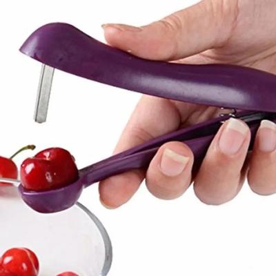 Instrumentos para trabalhar com frutas e vegetais – Descaroçadores