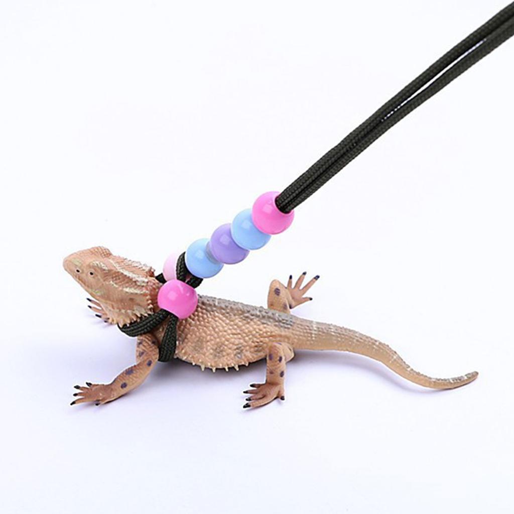 150cm Multiple Color Reptiles Leash Anti-Escape Outdoor Walking Lead Rope for Medium Large Reptiles Lizard Training