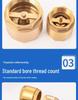 Brass One-Way Lift Check Valve & Backflow Preventer for Water Systems