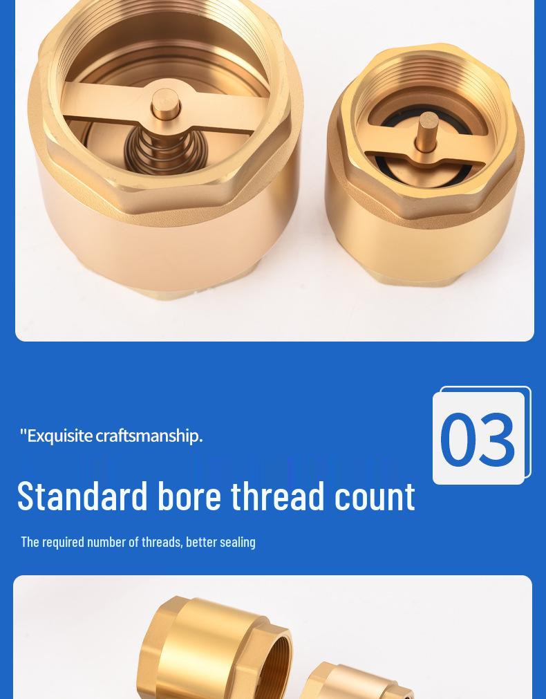 Brass One-Way Lift Check Valve & Backflow Preventer for Water Systems