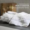 Mercure Home Textile 90% White Duck Down Winter Comforter