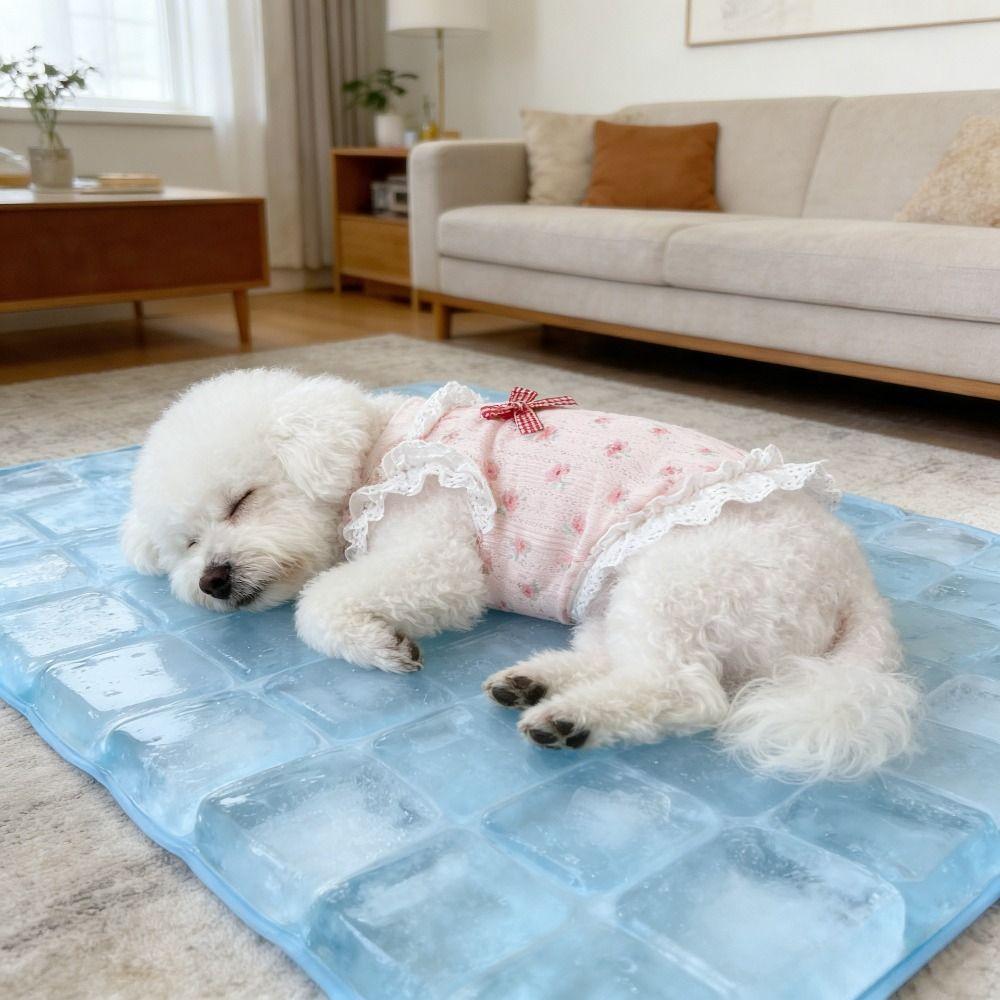 Lace Trimmed Pet Camisole Vest Flower Pattern Puppy Clothes Sweet Cat Lace Camisole  Summer Wear