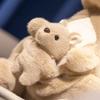 22/35cm Mother and Child Kangaroo Doll Simulation Doll Plush Toy Handmade Doll Cartoon Anime Cute Pillow Cushion Home Decoration