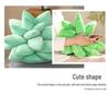 Succulent Plush Toy: Cute Home/Office Ornament, Soft Throw Pillow Cushion Gift