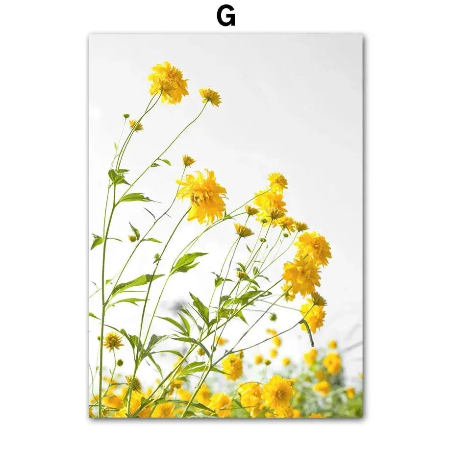 

Весенний подсолнух, ветряная мельница, фермерский дом, сельское растение, цветок, настенная живопись на холсте, желтый постер, идеально подходит для гостиной 21x30cm No Framed