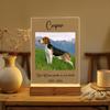 Personalized Custom Photo Pet Memorial Keepsake Sympathy Condolence Remembrance Gift In Loving Memory Of Beloved Dog Cat Meaning